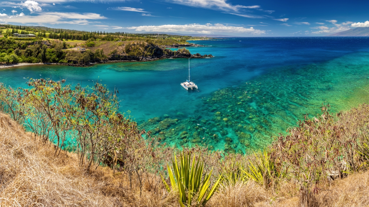 Honolua Bay - Hawaii Travel Guide