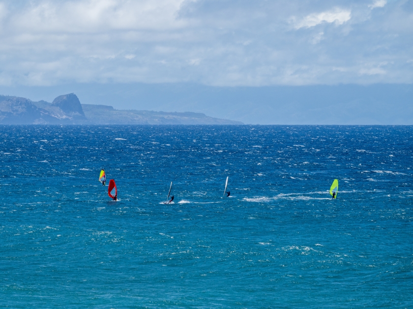 Colorful wind surfers racing in the wind on the Pacific Ocean off the coast of Maui at Hookipa Beach, Hawaii