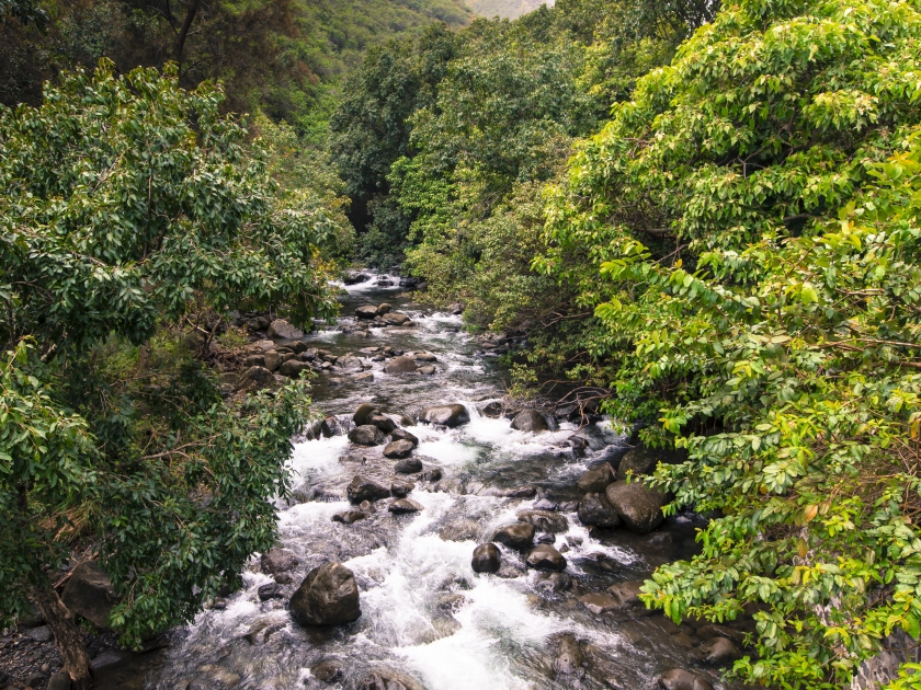 Iao Valley State Park on Maui Hawaii