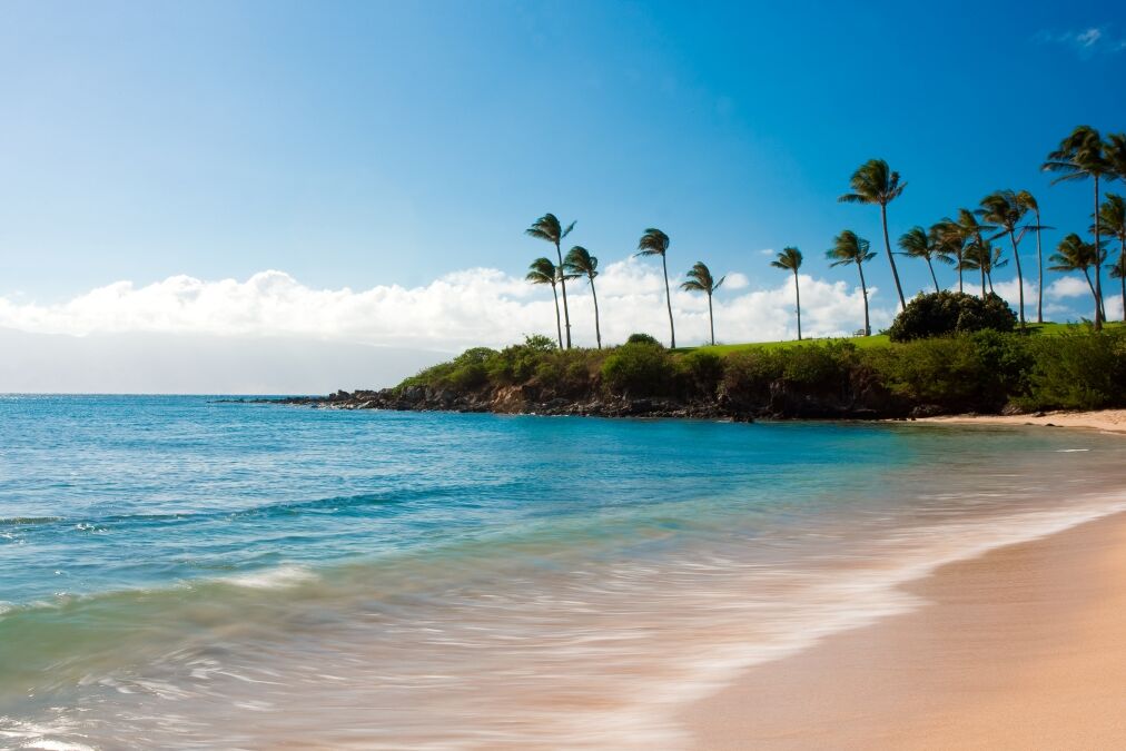 long exposure photo of kapalua bay and palm trees