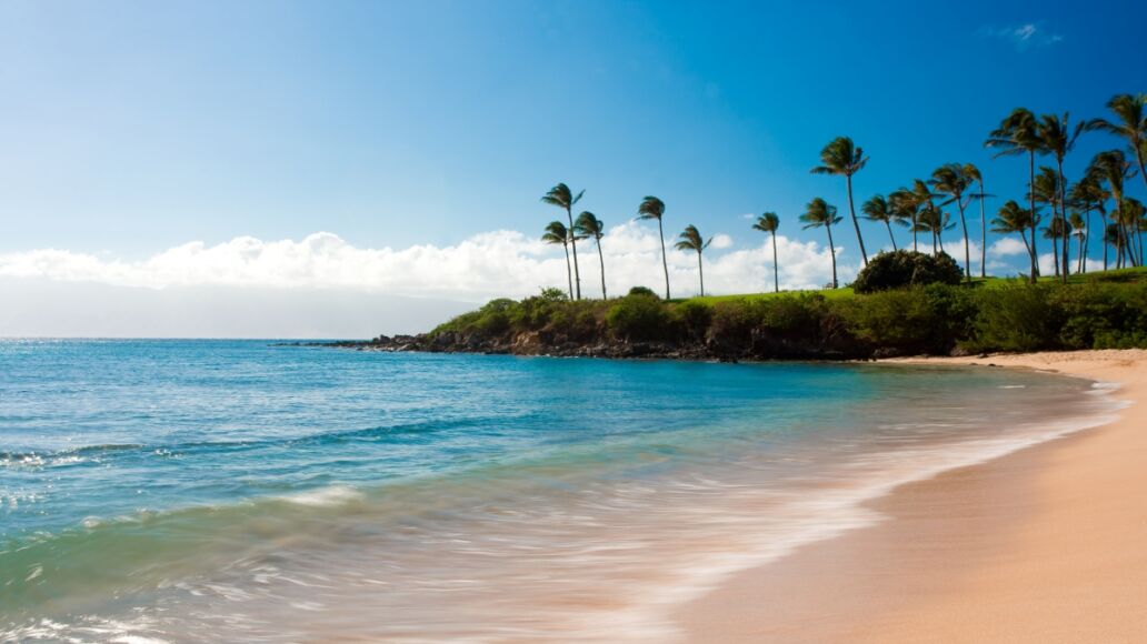 long exposure photo of kapalua bay and palm trees