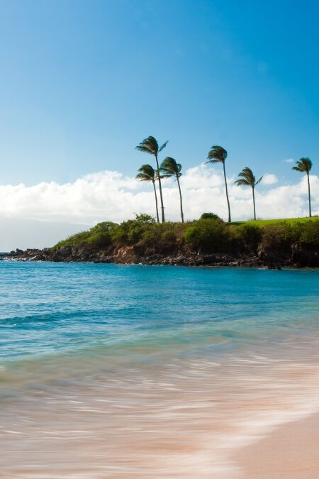 long exposure photo of kapalua bay and palm trees