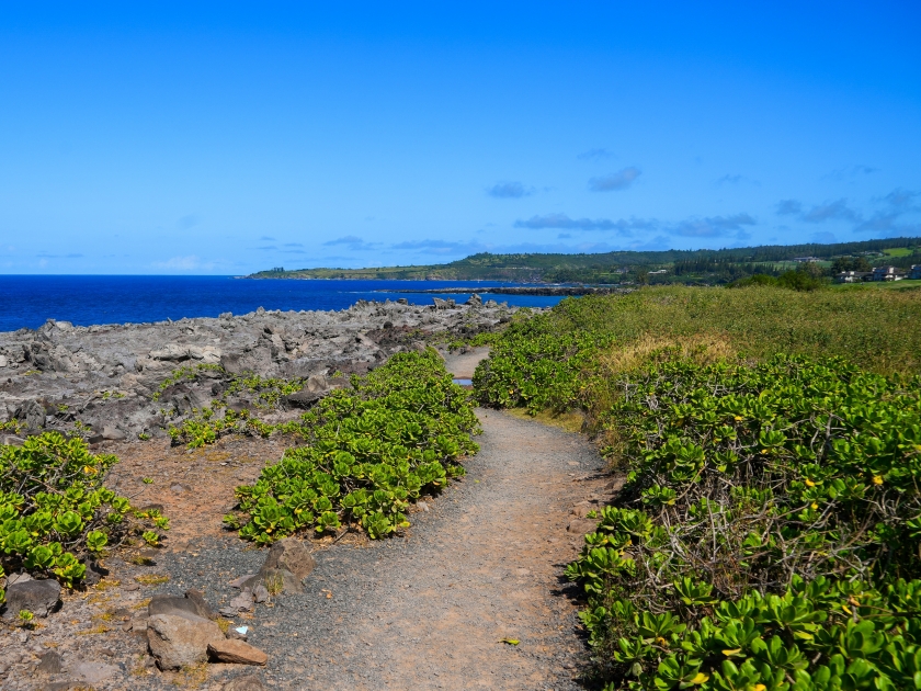 Kapalua Coastal Trail winding through volcanic rock on Hawea Point in the west of Maui island, Hawaii