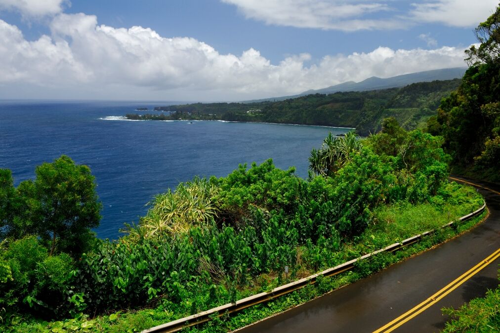 Wet road to Hana in Maui at Kaumahina State Wayside Park Hawaii