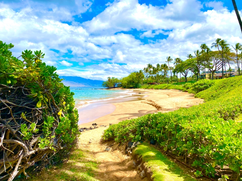 Pathway to Maui Wailea Beach