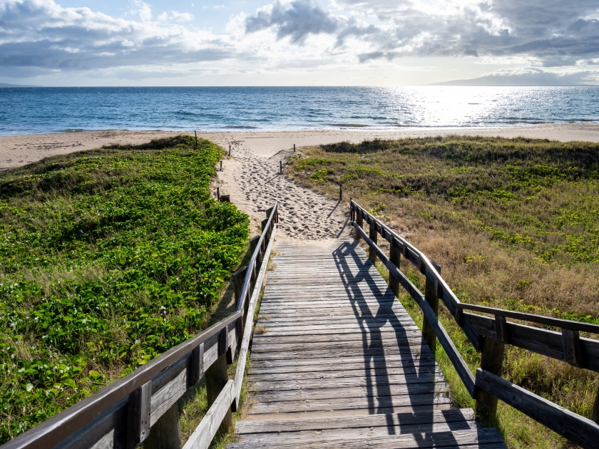 Wooden stairs leading down to a golden sand beach and the Pacific Ocean, green foliage of native vine growing on the dunes, Kamaole Beach Park II, Maui, Hawaii