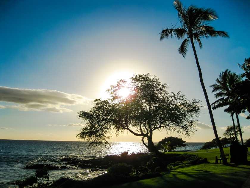 Sunset with palm trees, Waipuilani Park, Maui island, Hawaii, U.S.A. .