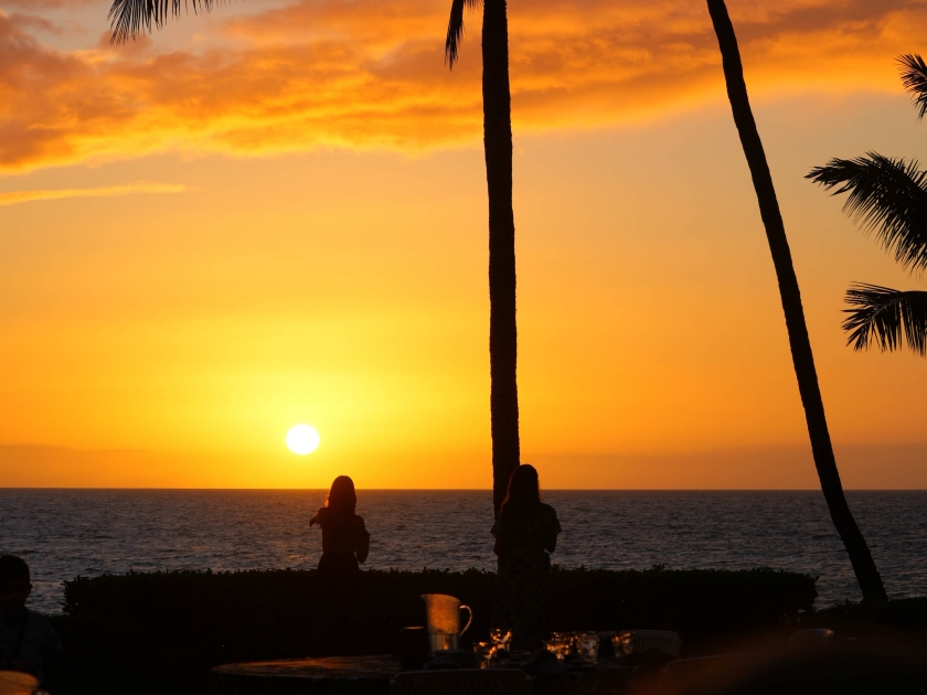 Sunset over the Pacific Ocean in front of a dark palm tree in the resort area of Wailea on the southern shore of Maui island in Hawaii