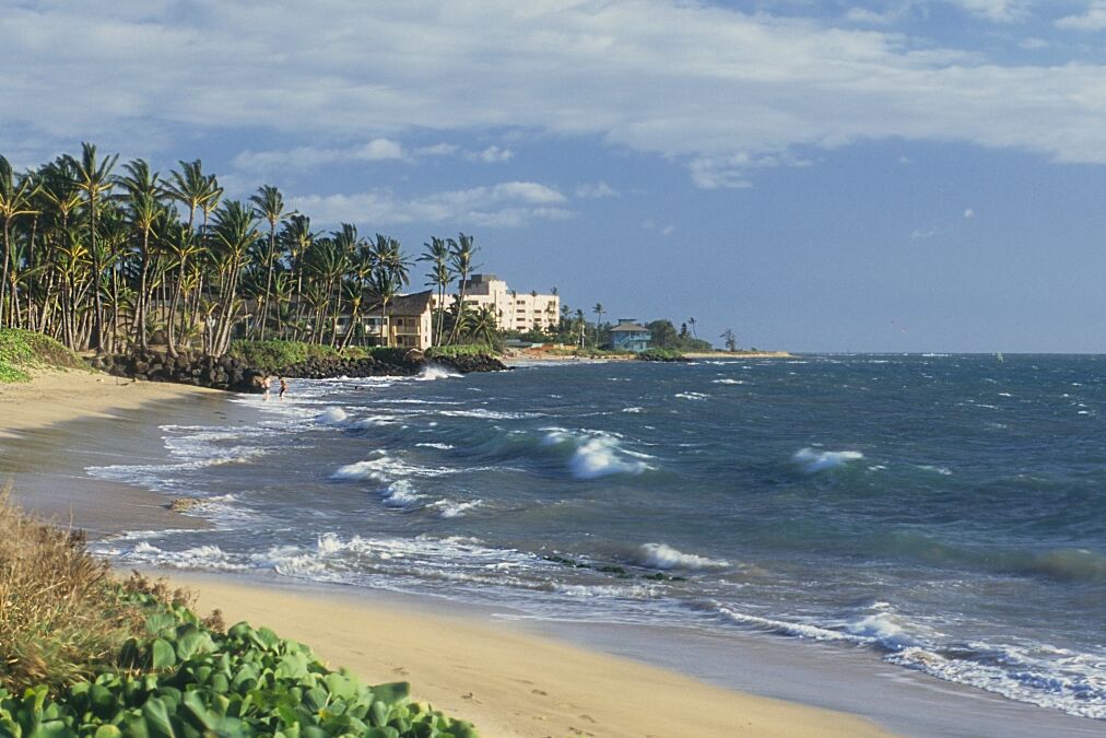 the Kihei beach Maui Hawaii