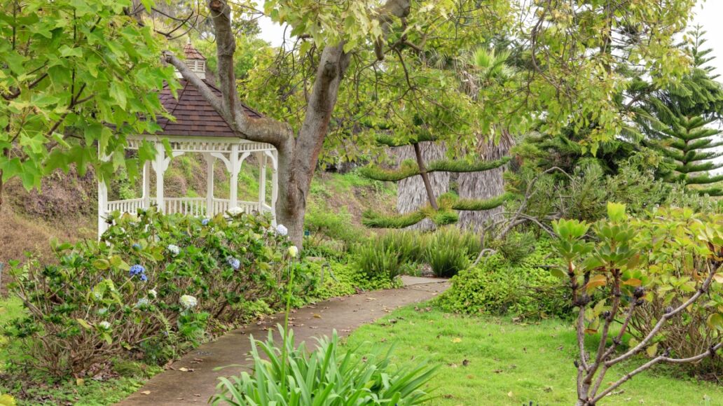 Kula Botanical Garden. Maui. Hawaii. White gazebo. Tropical landscape.