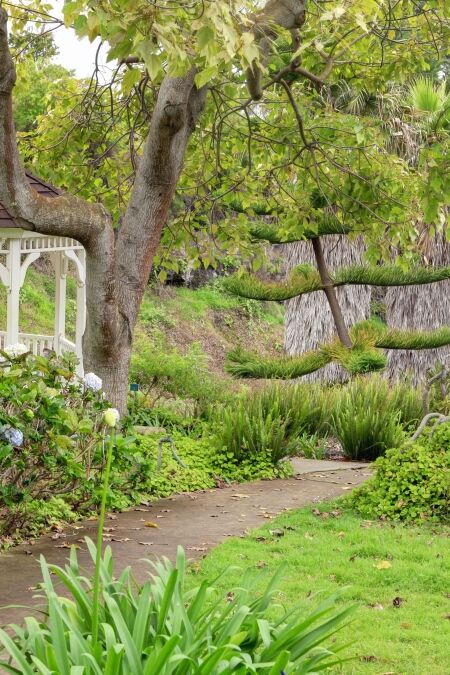 Kula Botanical Garden. Maui. Hawaii. White gazebo. Tropical landscape.