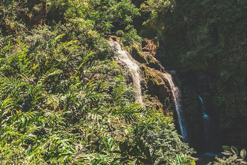 Makapipi Falls - One of The Many Waterfalls That Flow Out Of The Mountains And Lush Rainforest Along The Road To Hana On The Island Of Maui