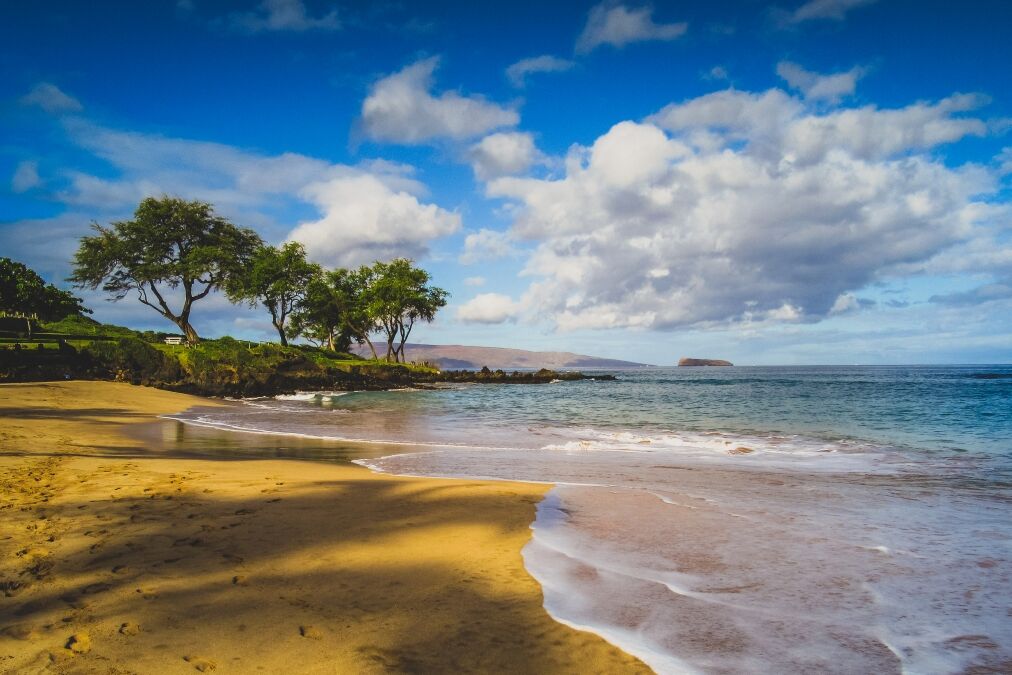 Calm waves at Maluaka Beach on a sunny day with shadows of palm trees cast onto the sand, Maui, Hawaii