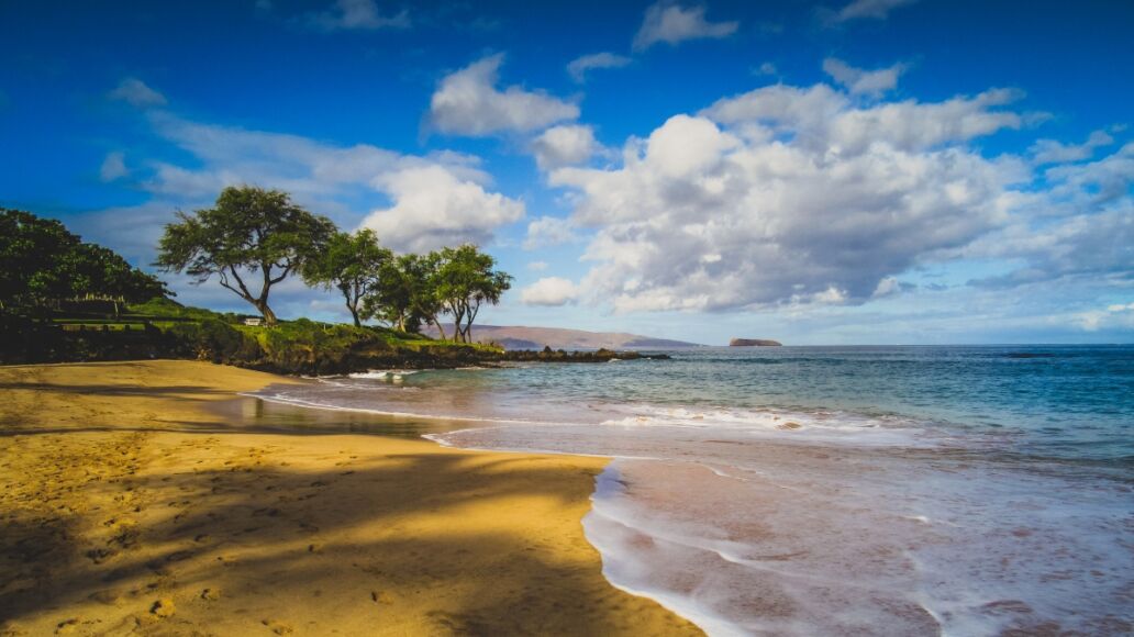 Calm waves at Maluaka Beach on a sunny day with shadows of palm trees cast onto the sand, Maui, Hawaii