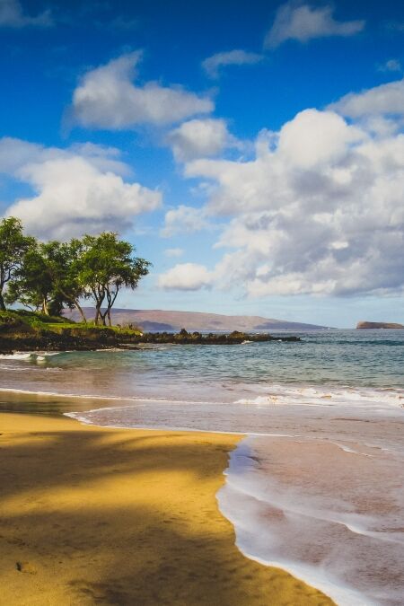 Calm waves at Maluaka Beach on a sunny day with shadows of palm trees cast onto the sand, Maui, Hawaii