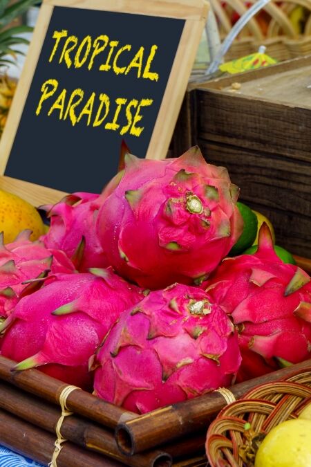 Tropical fruit display of guava, star fruit, pineapple, and dragon fruit at a farmers market