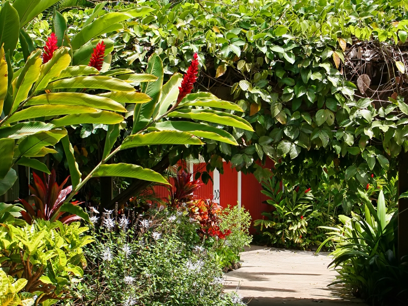 Botanical Garden Maui Tropical Plantation Wailuku Hawaii