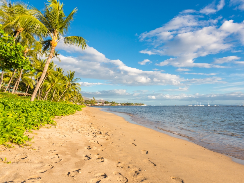 Spectacular beach and ocean view, Maui, Hawaii, USA