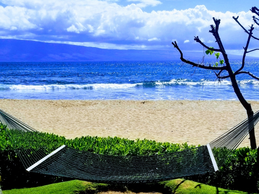 Hawaii Big Surf Hammock View