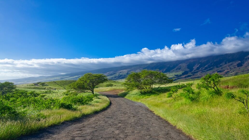 Road to Hana