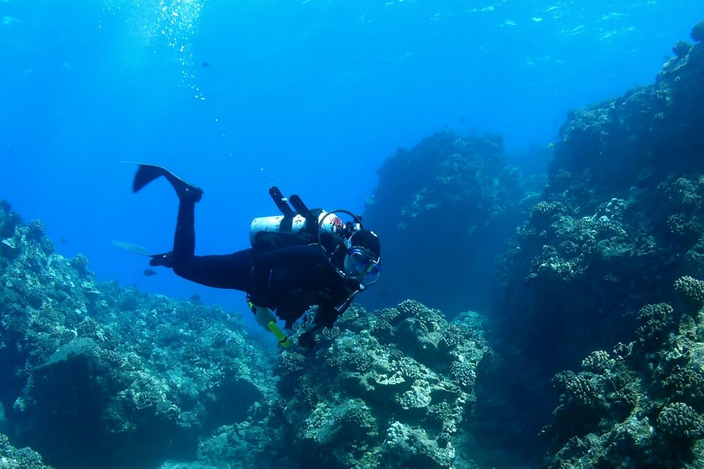 Diver swimming through Reef in Maui Hawaii