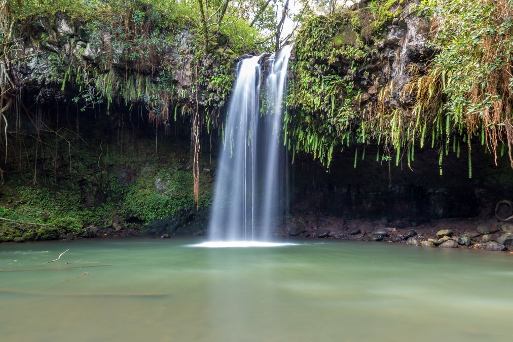 Twin falls, a lush tropical waterfall on the island of maui, Hawaii