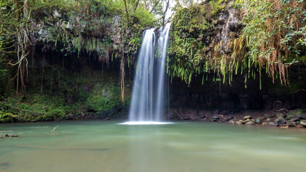 Twin falls, a lush tropical waterfall on the island of maui, Hawaii