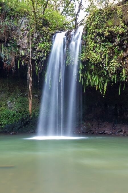 Twin falls, a lush tropical waterfall on the island of maui, Hawaii