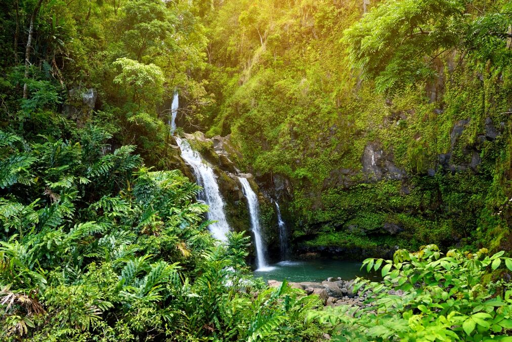 Upper Waikani Falls also known as Three Bears, a trio of large waterfalls amid rocks & lush vegetation with a popular swimming hole, off the Road to Hana Highway, Maui, Hawaii, USA