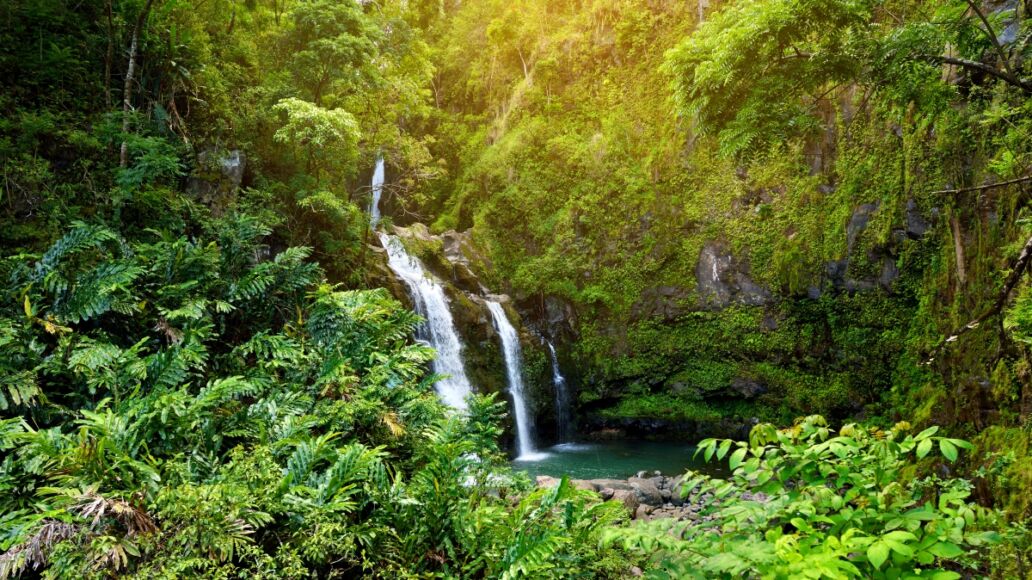 Upper Waikani Falls also known as Three Bears, a trio of large waterfalls amid rocks & lush vegetation with a popular swimming hole, off the Road to Hana Highway, Maui, Hawaii, USA