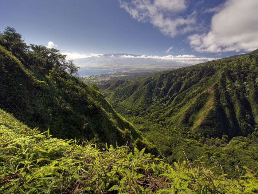 Waihee Ridge Trail, over looking Kahului and Haleakala, Maui, Hawaii