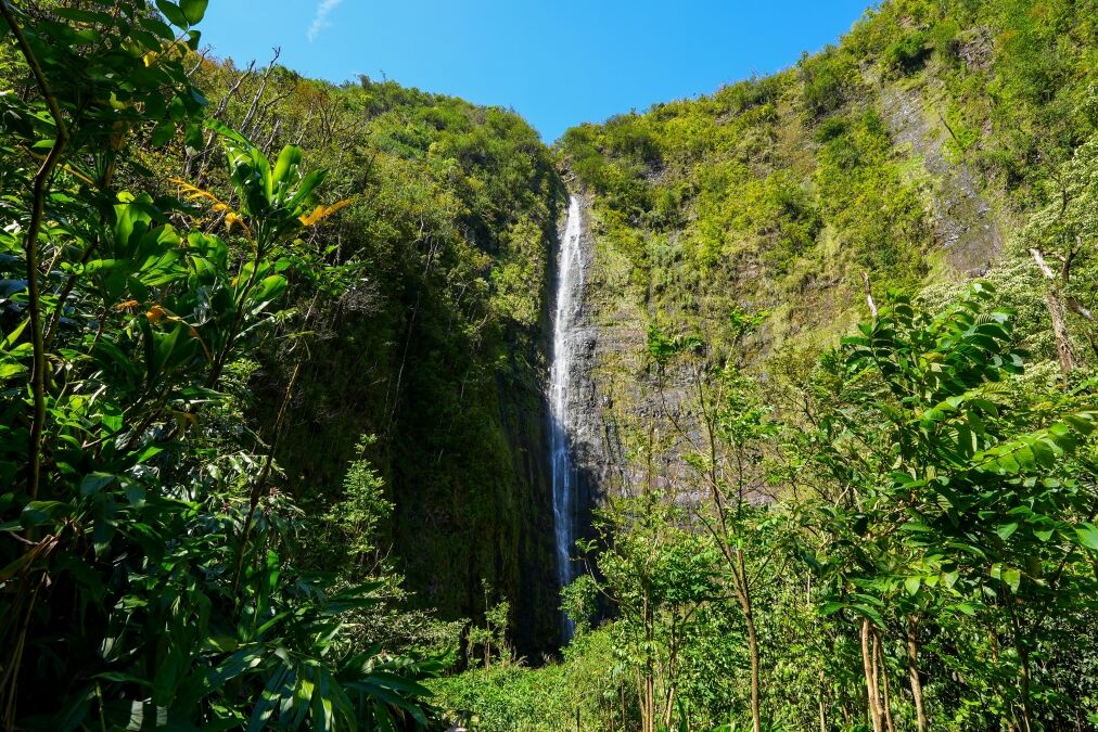 Waimoku Falls at the end of the Pipiwai Trail in the Haleakala National Park on the road to Hana, east of Maui island, Hawaii, United States