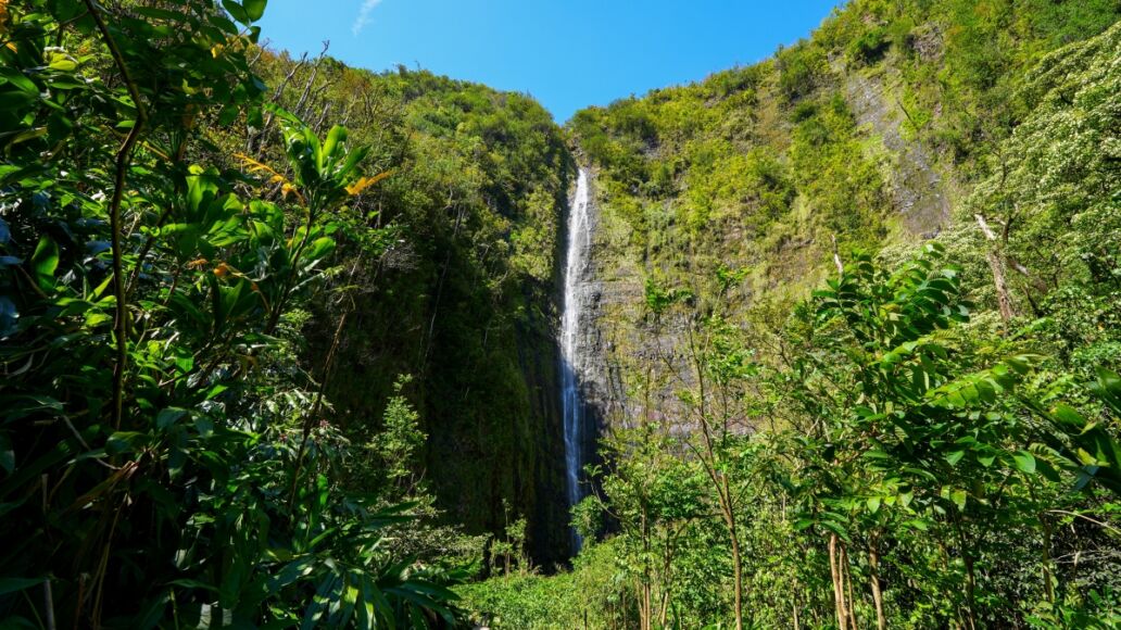 Waimoku Falls at the end of the Pipiwai Trail in the Haleakala National Park on the road to Hana, east of Maui island, Hawaii, United States