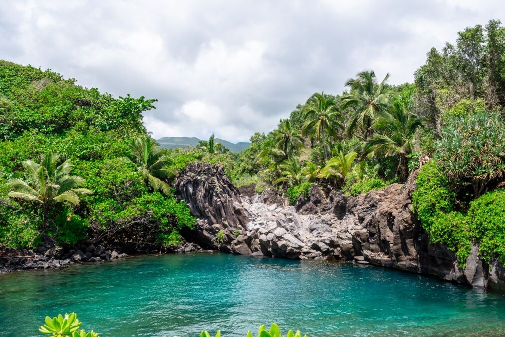 Gorgeous lagoon with turquoise waters by the ocean. Lush jungle and rocks in the background. Shot in Haleakala National Park on the road to Hana, Maui Hawaii.