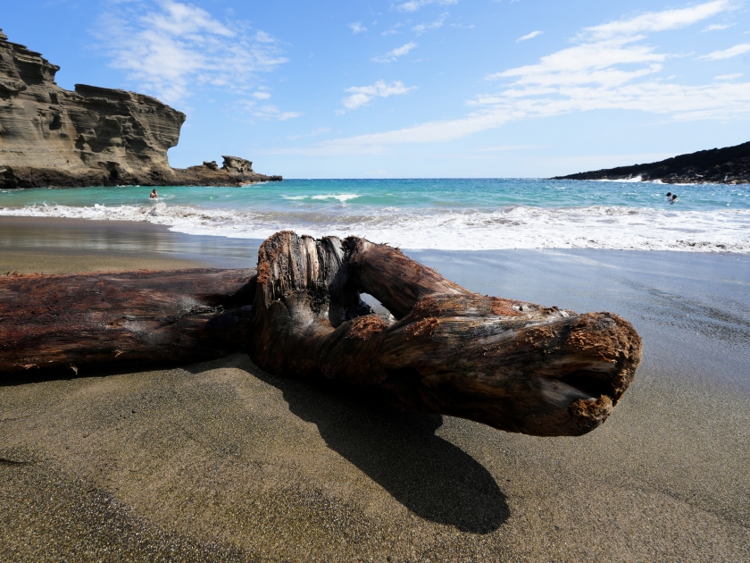 Driftwood stranded on Papakolea Beach, one of only four green sand beaches in the world, near the southernmost point of the Hawaiian islands on Big Island