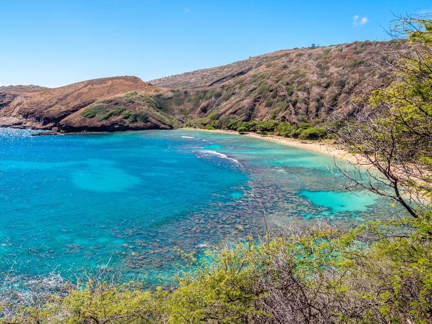 Honaunau Bay is a very colorful inlet covered in beautiful coral reefs making it one of the best snorkeling sites in the world located on the island of Oahu, Hawaii.