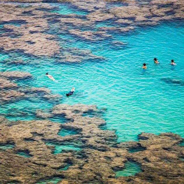 Snorkelling among coral reef in Hanauma Bay, Oahu, Hawaii