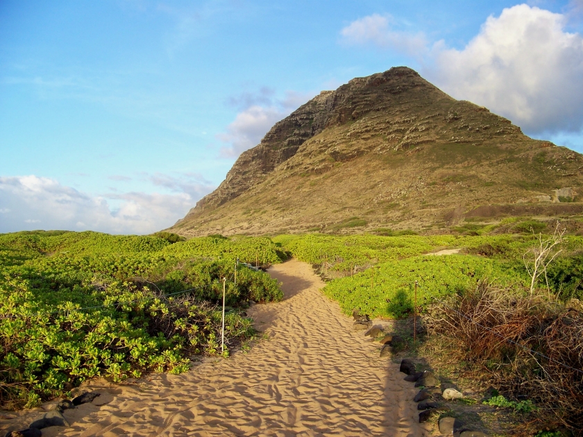 Lone shadow on the sacred trail from Kaena Point on the island of Oahu. Hawaiians once believed that this location was the jumping off point for souls leaving this world.