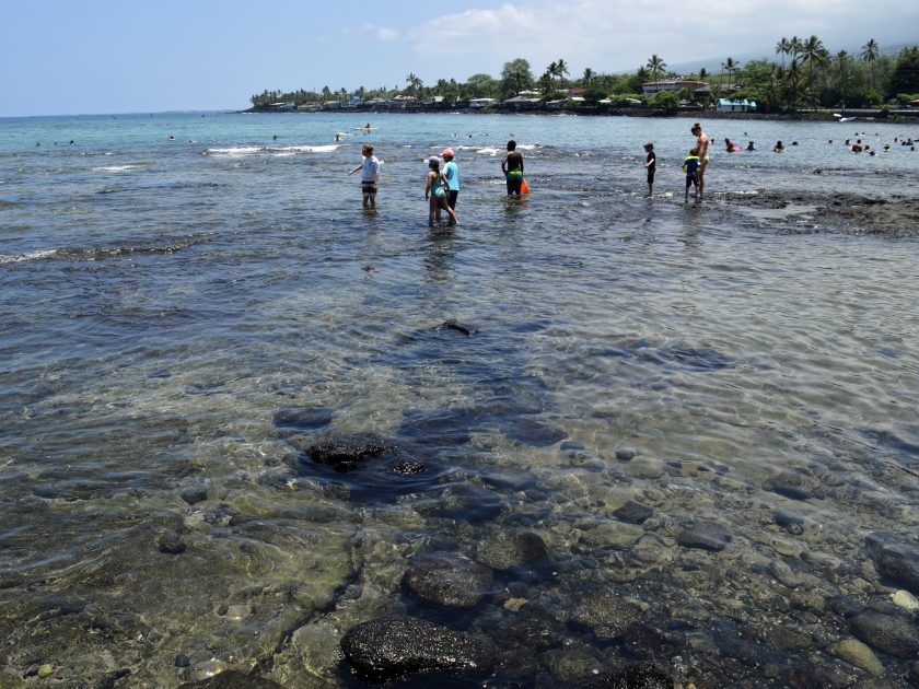 Snorkelers at Kahaluu Beach Park, Big Island Hawaii