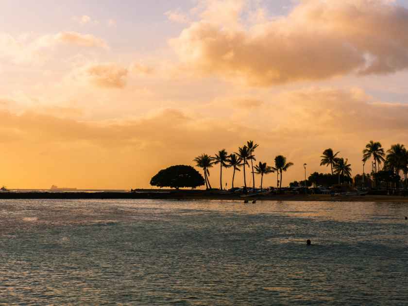 Sunset at Kahanamoku beach with silhouette of palm trees by the ocean. Honolulu, Hawaii, USA