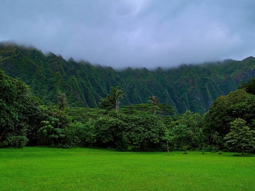Green lawn in front of Koolau Mountain Range on Oahu Island of Hawaii