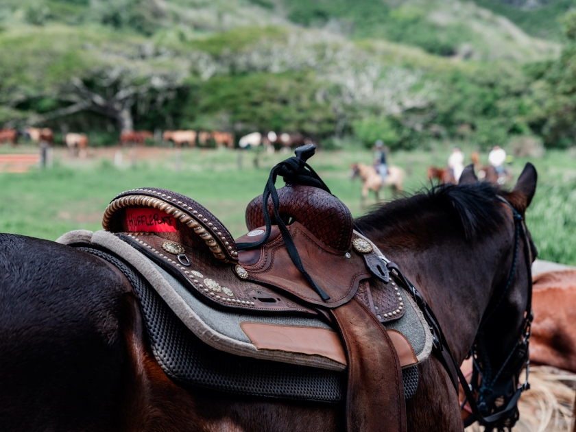 Kualoa Ranch in Oahu Hawaii