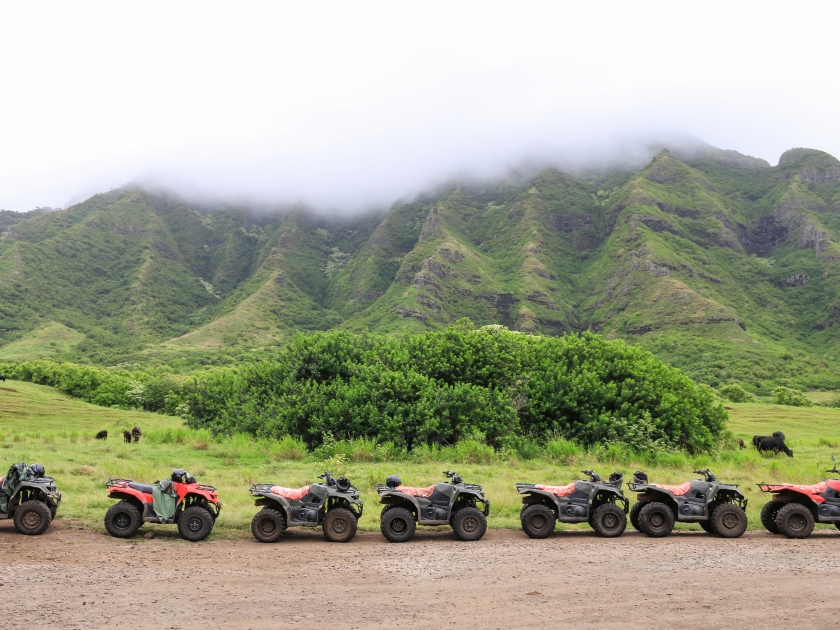 ATVs in a row on the unpaved road