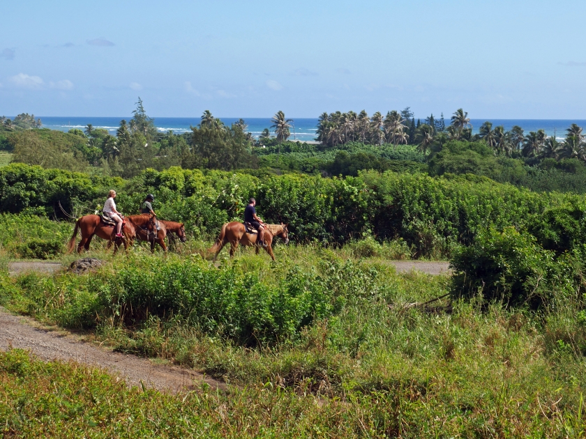 Horseback riding with a view of the Pacific Ocean on Oahu, Hawaii.