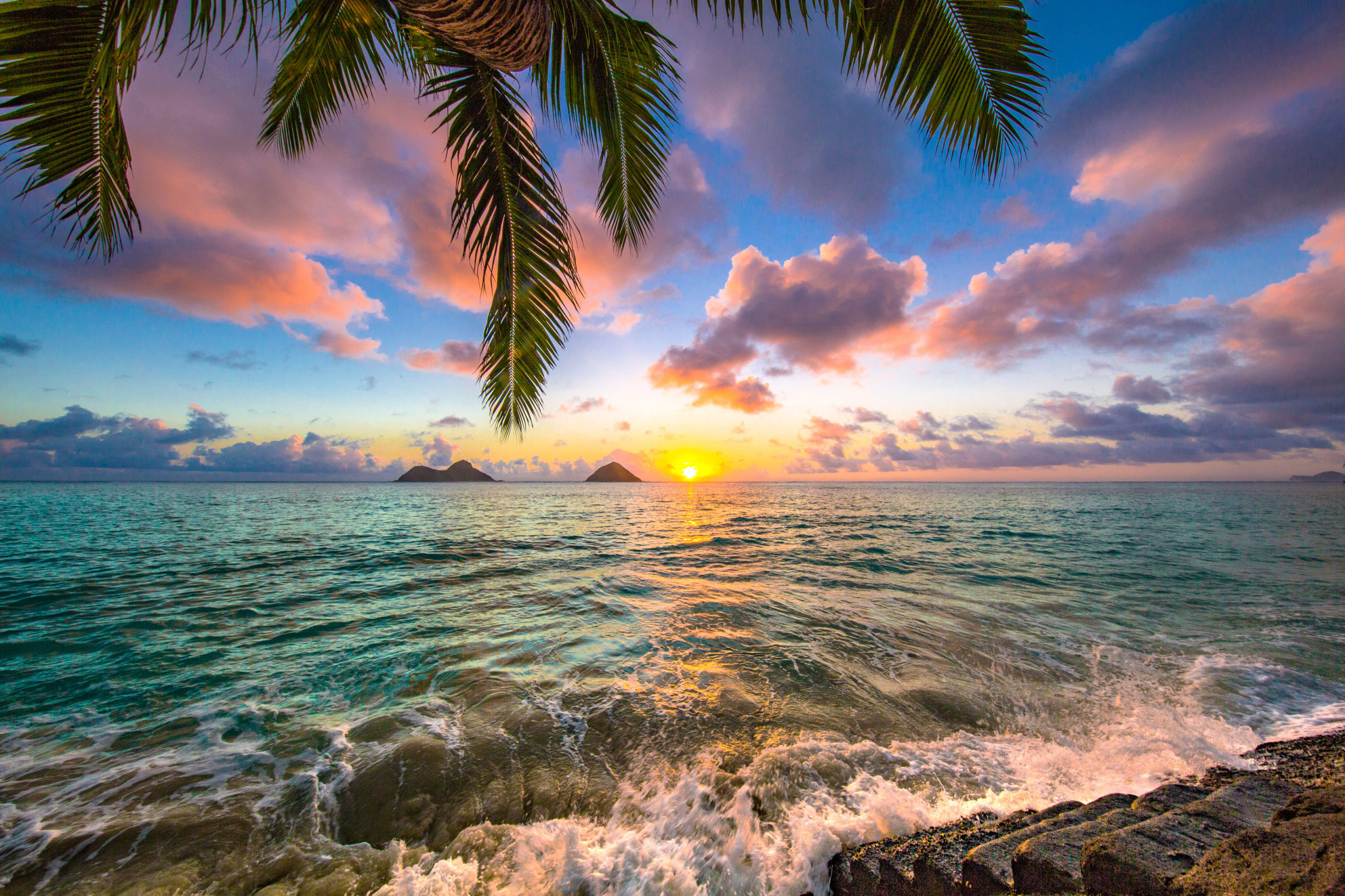 Hawaii Flower Lei - A Circle of Aloha and the Iconic Symbol of