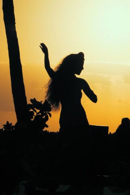 Hawaiian Luau Dancer