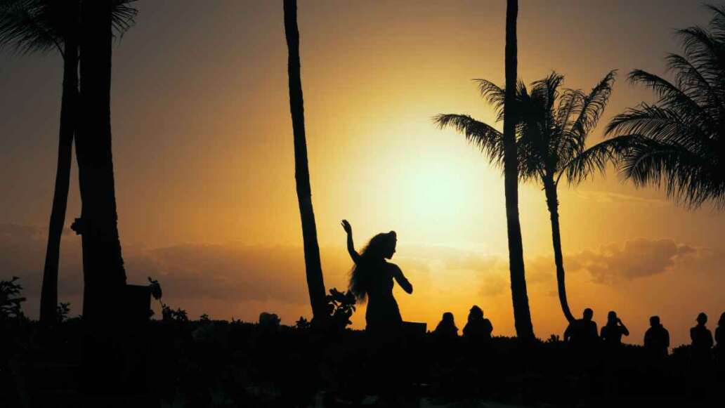 Hawaiian Luau Dancer