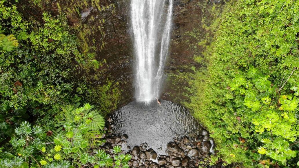 Aerial view of Manoa Falls in Oahu, Hawaii