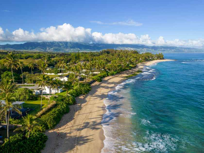 Laniakea Beach, North Shore, Oahu, Hawaii