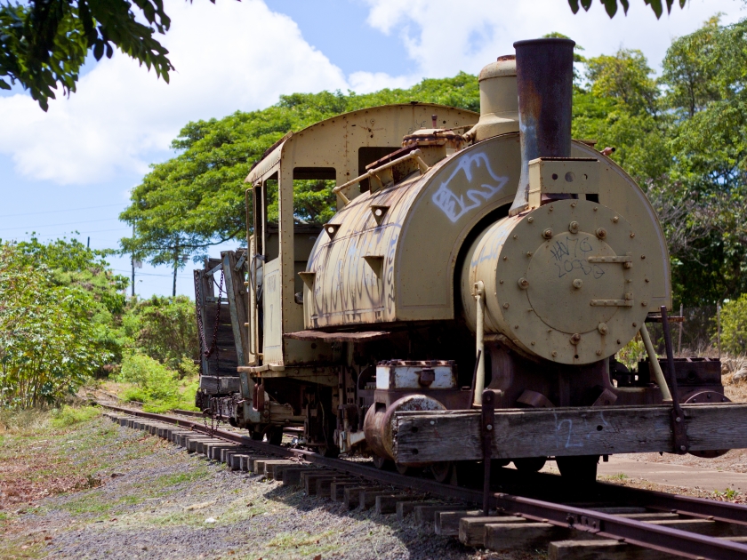 Old plantation train